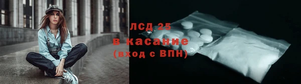 сатива Новодвинск