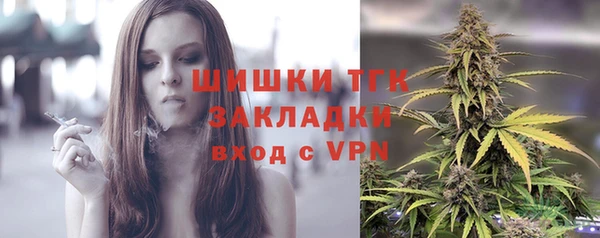 крисы Новокубанск