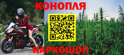 прущие грибы Донской