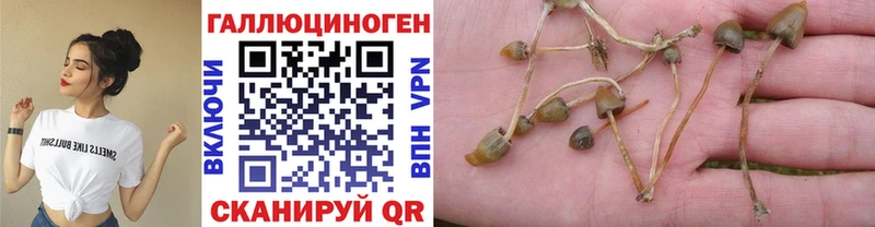 Галлюциногенные грибы Magic Shrooms Кандалакша