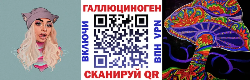 где купить наркоту  Кандалакша  Псилоцибиновые грибы Psilocybe 