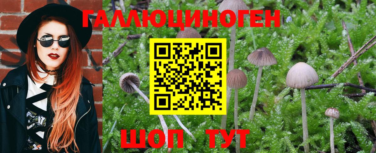 Псилоцибиновые грибы MAGIC MUSHROOMS  Вход с VPN  Галлюциногенные грибы Cubensis  Кандалакша 